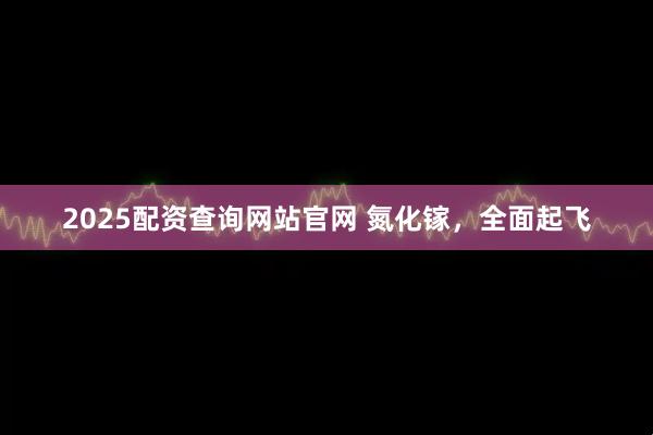2025配资查询网站官网 氮化镓,全面起飞